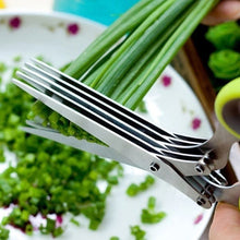 Load image into Gallery viewer, 5 Blades Stainless Steel Vegetable Scissors
