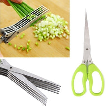 Load image into Gallery viewer, 5 Blades Stainless Steel Vegetable Scissors
